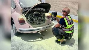 Fort Myers Dealership Employees Put Out Car Fire