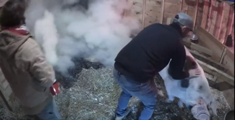 Woman saves barn from 80 miles away